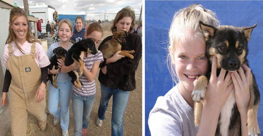 El grandioso legado de un grupo de alumnos de cuarto grado que han salvado a 15.000 perritos El grandioso legado de un grupo de alumnos de cuarto grado que han salvado a 15.000 perritos
