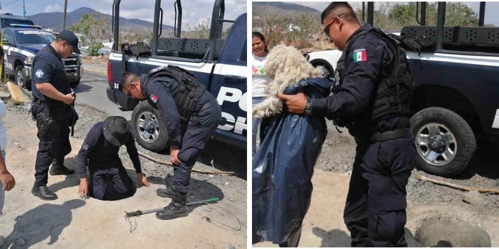 Escuchan llantos al fondo de una alcantarilla y los policías hacen de todo por salvarlo Escuchan llantos al fondo de una alcantarilla y los policías hacen de todo por salvarlo