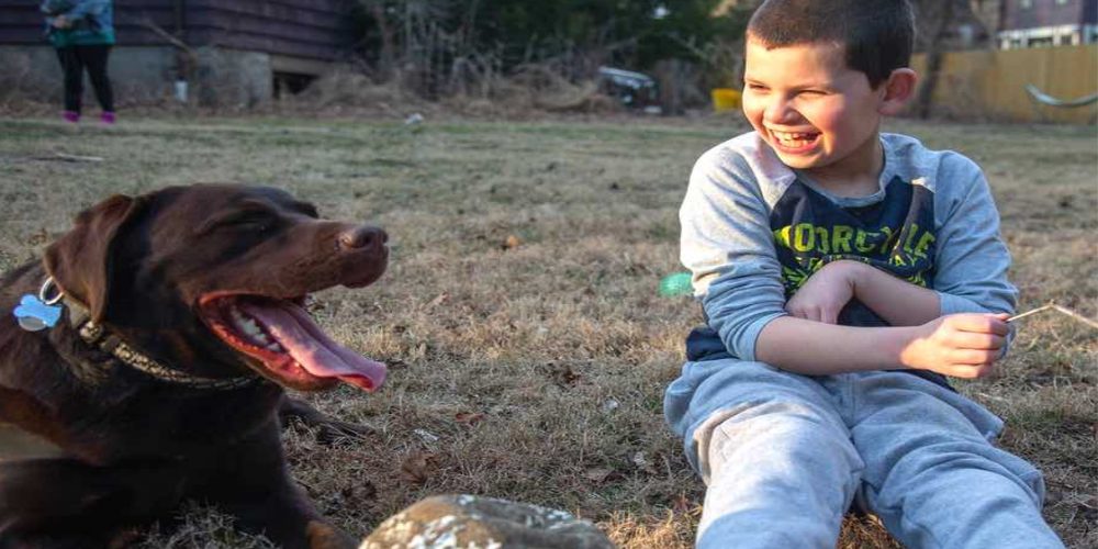Un perrito se convierte en el mejor amigo de un niño de 10 años que tiene autismo Un perrito se convierte en el mejor amigo de un niño de 10 años que tiene autismo