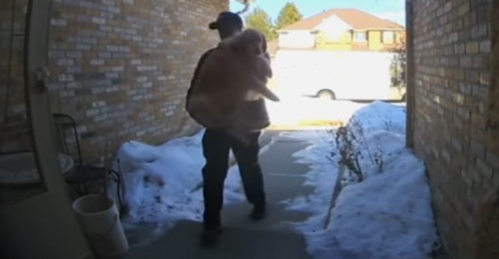 Miran el video de la cámara de seguridad y no pueden creer en el gesto del repartidor de correo Miran el video de la cámara de seguridad y no pueden creer en el gesto del repartidor de correo