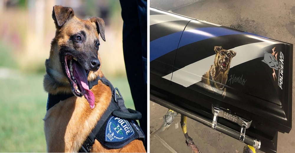 La emotiva despedida de un perrito policía que murió haciendo lo que más amaba La emotiva despedida de un perrito policía que murió haciendo lo que más amaba