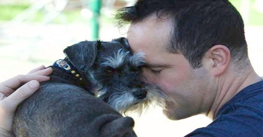 Cobra todo su fondo de pensiones para pagar los 45.000 dólares que salvarán a su perrita Cobra todo su fondo de pensiones para pagar los 45.000 dólares que salvarán a su perrita