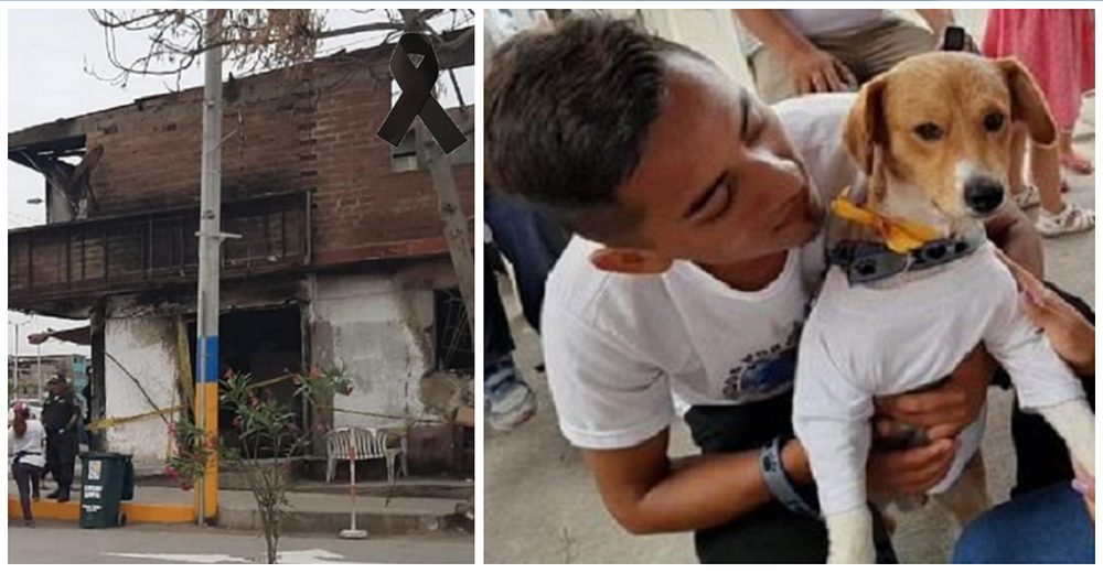 Un niño de 13 años muere mientras salvaba la vida de su perro en un trágico accidente Un niño de 13 años muere mientras salvaba la vida de su perro en un trágico accidente