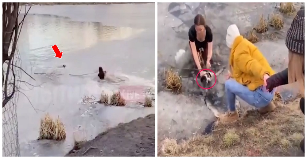 Madre no duda un segundo y salta a un lago congelado para salvar la vida de su otro hijo Madre no duda un segundo y salta a un lago congelado para salvar la vida de su otro hijo