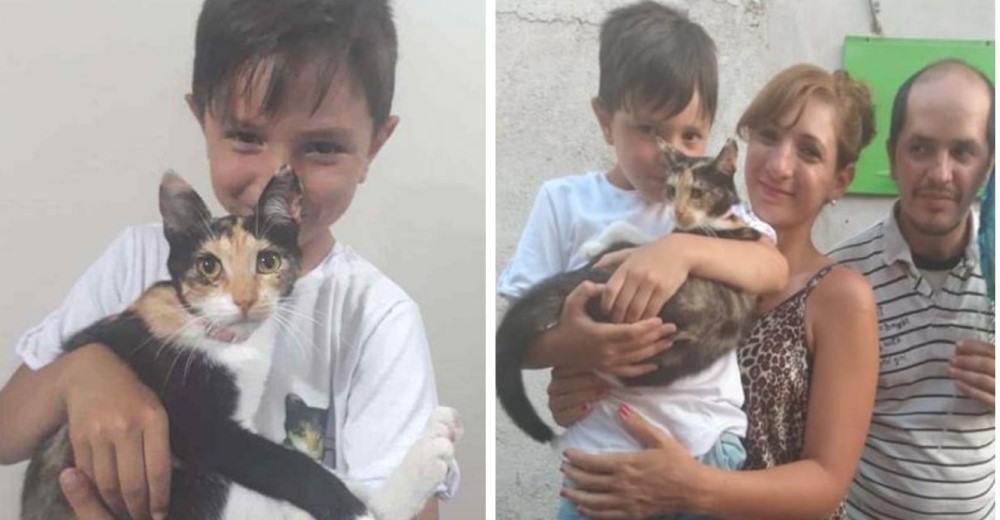 A los 6 años usó todos sus ahorros para salvar a una gatita de la calle y le dedicó una fiesta