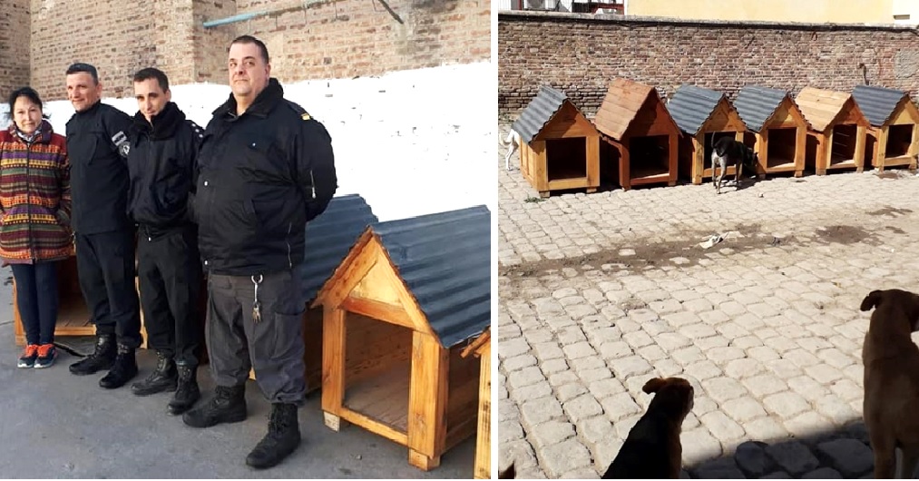 Un grupo de presos trabajó sin descanso para donar casitas de madera a los perritos de la calle Un grupo de presos trabajó sin descanso para donar casitas de madera a los perritos de la calle