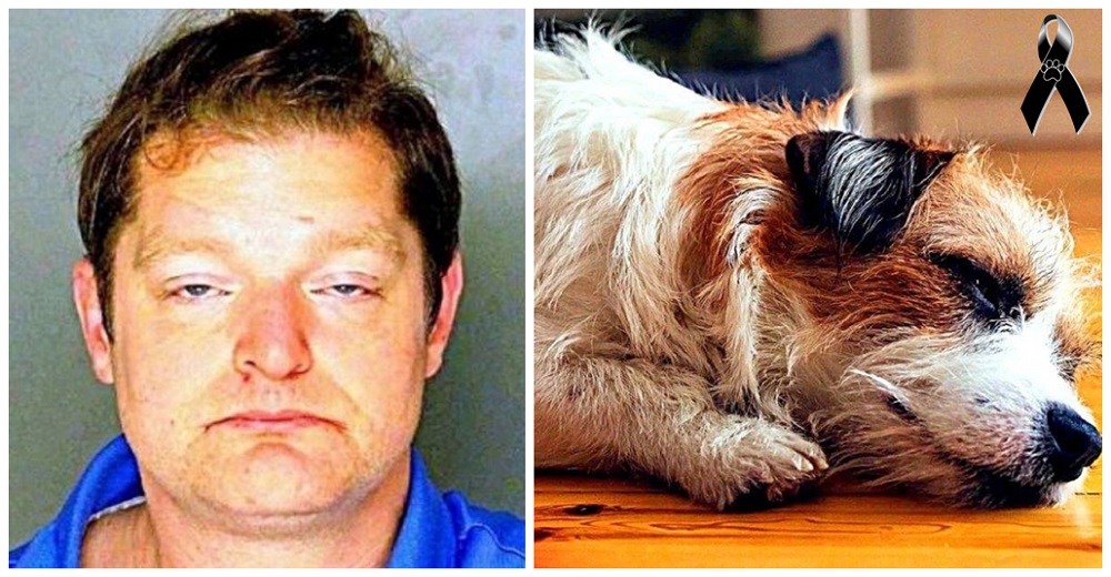 Buscan al sujeto que huyó de la justicia tras atentar contra su perro «para disciplinarlo”