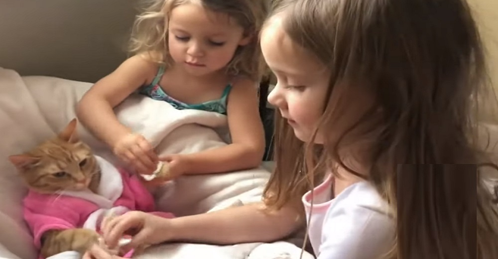 Niñas consienten a su gatita en un día de SPA dedicado sólo para ella y se hace viral Niñas consienten a su gatita en un día de SPA dedicado sólo para ella y se hace viral