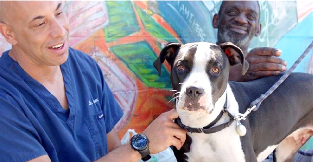 Un veterinario recorre las calles para ayudar a los perros y gatos de las personas sin hogar Un veterinario recorre las calles para ayudar a los perros y gatos de las personas sin hogar