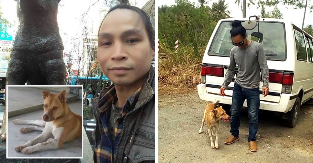 Caminó 3 días para no contagiar a nadie de coronavirus y un perro desconocido se sumó a su gesto Caminó 3 días para no contagiar a nadie de coronavirus y un perro desconocido se sumó a su gesto
