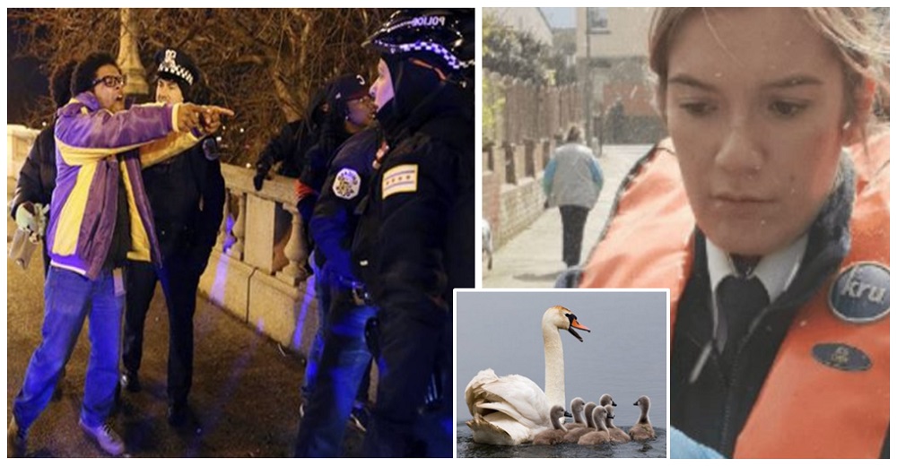 En pleno coronavirus adolescentes agreden a rescatista sólo por salvar a un cisne en apuros En pleno coronavirus adolescentes agreden a rescatista sólo por salvar a un cisne en apuros