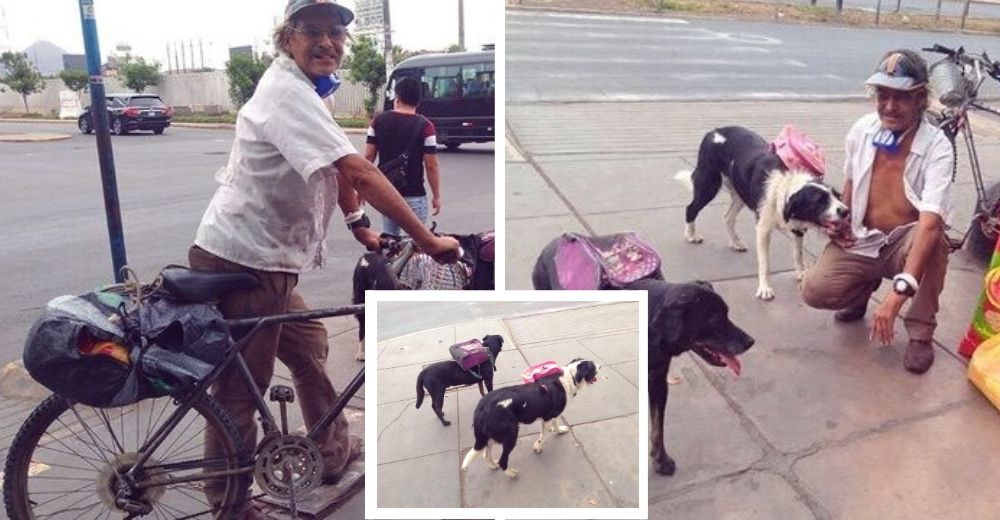 Anciano hace de todo para llevar alimento a los perritos de la calle a pesar de la cuarentena Anciano hace de todo para llevar alimento a los perritos de la calle a pesar de la cuarentena