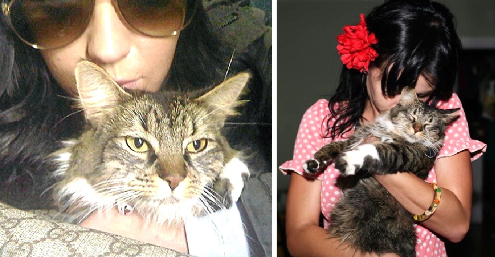 Katy Perry se despide de la gatita que llegó a su casa hace años para pedirle que la salvara