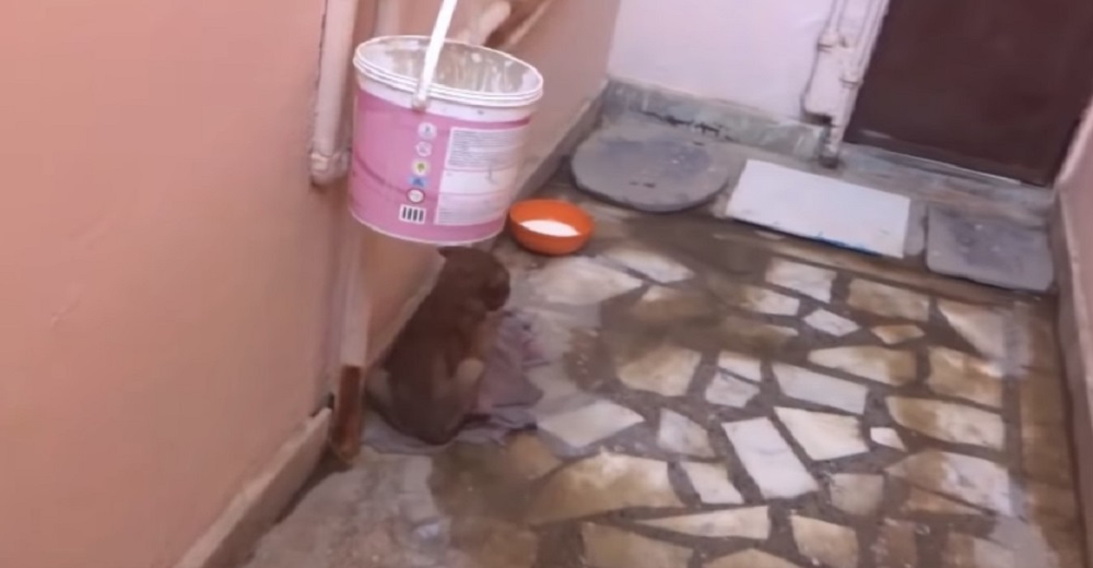 Permanecía en la esquina de un callejón contra la pared hasta que alguien logró ver su cara Permanecía en la esquina de un callejón contra la pared hasta que alguien logró ver su cara