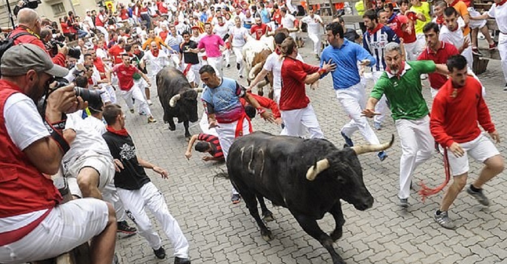 Los toros podrán dormir tranquilos tras la suspensión de los encierros más famosos del mundo