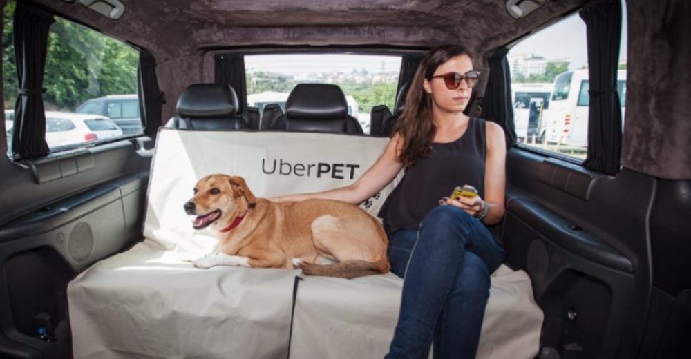 Uber entendió que los perritos se comportan mejor que cualquiera y ahora los permiten viajar