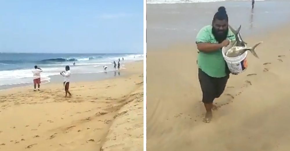 Inexplicablemente el mar está arrojando a cientos de peces en la arena de una paradisíaca playa