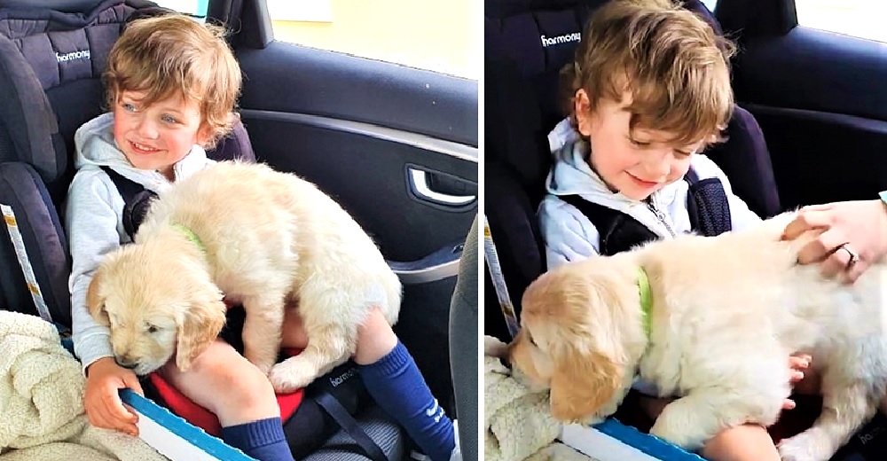 La reacción de un niño autista cuando recibió al perro que llegó para consolarlo en la cuarentena La reacción de un niño autista cuando recibió al perro que llegó para consolarlo en la cuarentena