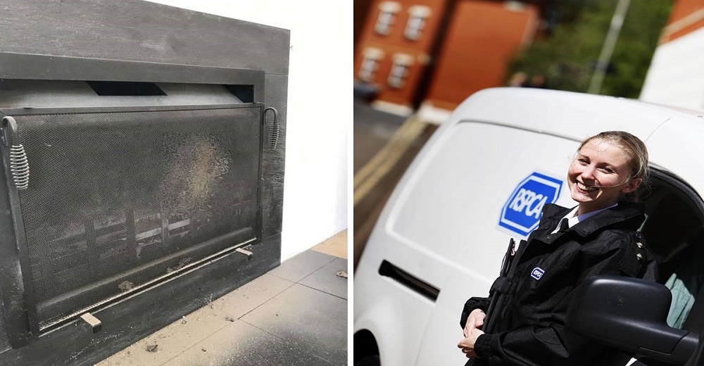 Una familia descubre que el ruido que provenía de su chimenea era un animal pidiendo ayuda