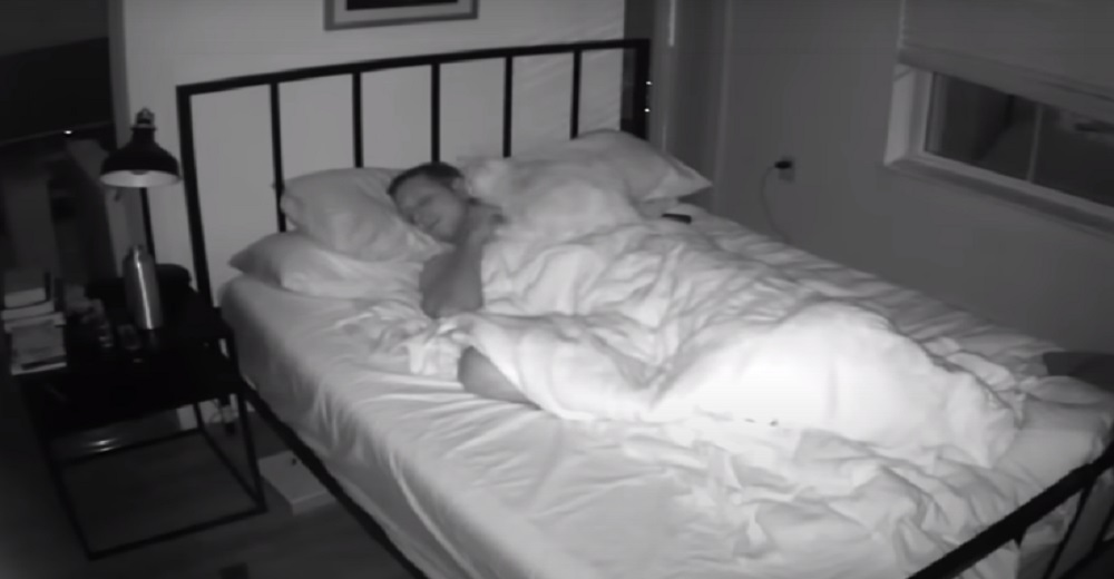 Instala una cámara de seguridad y se queda en shock al descubrir lo que hace su gato cada noche Instala una cámara de seguridad y se queda en shock al descubrir lo que hace su gato cada noche