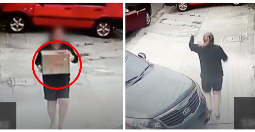 Las cámaras de vigilancia graban cómo una mujer abandona a adorables gatitos en una caja Las cámaras de vigilancia graban cómo una mujer abandona a adorables gatitos en una caja