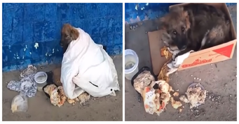 Enfermo, triste y solo en una parada de autobús mientras mira a los que le lanzan comida podrida