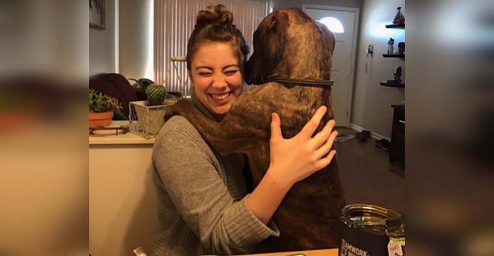 Perrito adoptado tiene miedo de volver a quedarse sin hogar, así que se lo hace saber a su mamá Perrito adoptado tiene miedo de volver a quedarse sin hogar, así que se lo hace saber a su mamá
