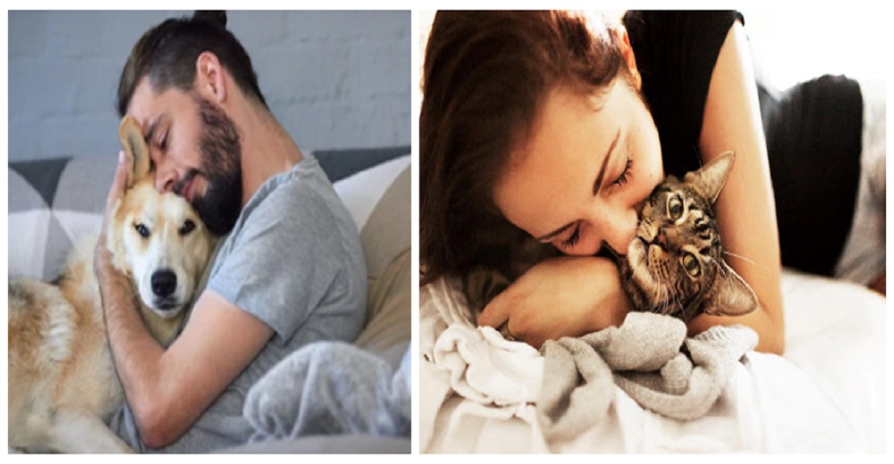 Para muchas personas sobrellevar la cuarentena sería imposible sin sus mascotas, según estudio Para muchas personas sobrellevar la cuarentena sería imposible sin sus mascotas, según estudio