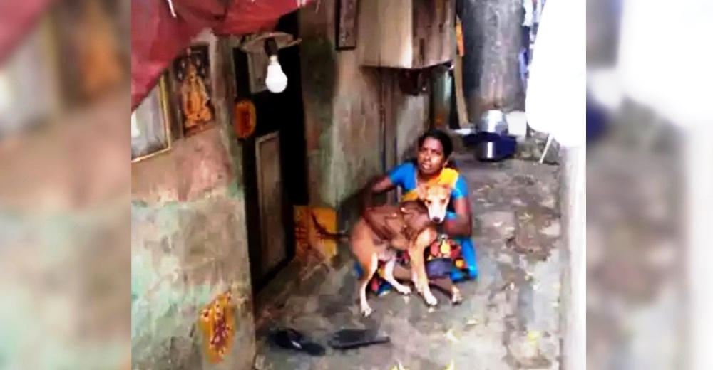 Come sólo una vez al día para poder alimentar a sus 13 perros de toda la vida, por la pandemia Come sólo una vez al día para poder alimentar a sus 13 perros de toda la vida, por la pandemia