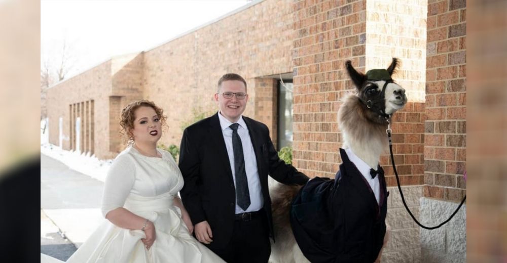 Graban la reacción de una novia al ver llegar a la acompañante de su hermano el día de su boda