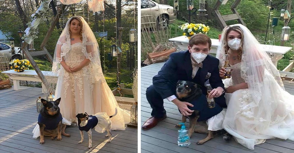 Se niegan a cancelar su boda, la transmiten en vivo y sorprenden con las nuevas «damas de honor» Se niegan a cancelar su boda, la transmiten en vivo y sorprenden con las nuevas «damas de honor»