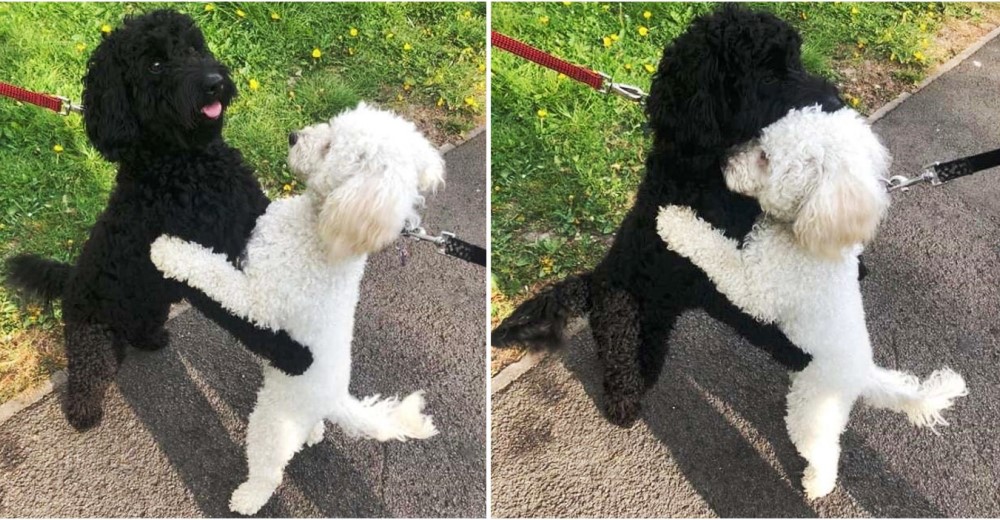 Dos hermanos se abrazan al reconocerse en un paseo tras 10 meses sin verse Dos hermanos se abrazan al reconocerse en un paseo tras 10 meses sin verse