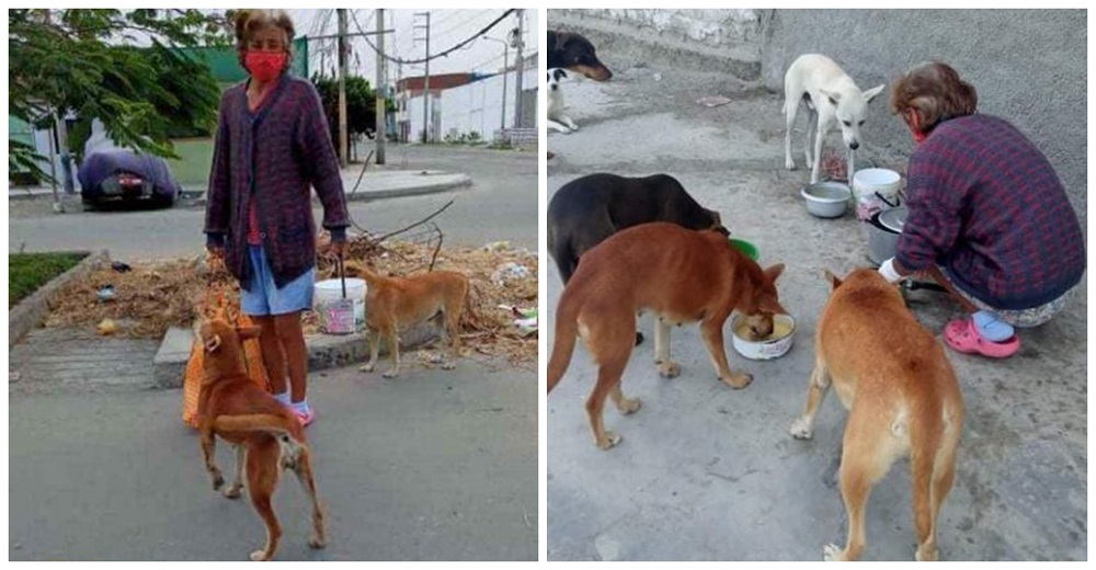 Captan a una humilde mujer saliendo de su casa para recorrer las calles con ollitas de comida Captan a una humilde mujer saliendo de su casa para recorrer las calles con ollitas de comida