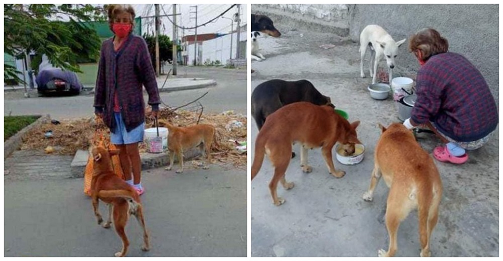 Captan a una humilde mujer saliendo de su casa para recorrer las calles con ollitas de comida