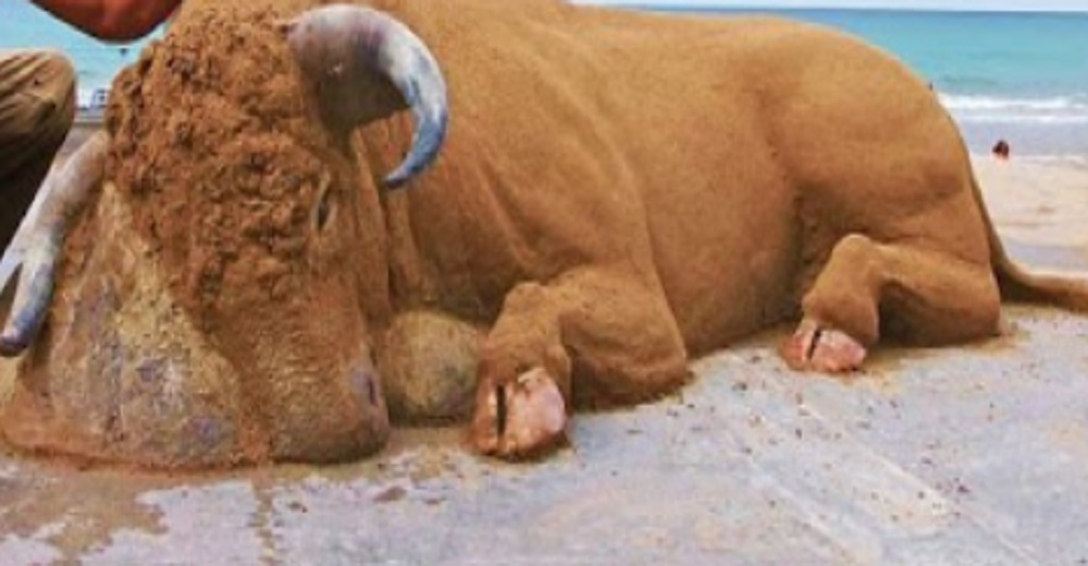 El toro devastado mirando al suelo lleno de sufrimiento y dolor causa revuelo e indignación