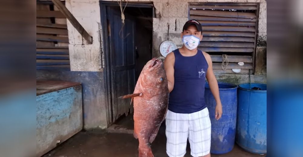 «Es un milagro, Dios se encargó»–Aparecen peces gigantes en una población que no tenía qué comer