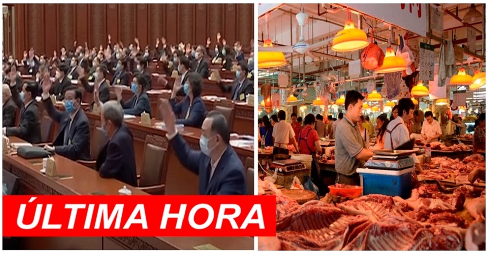 Wuhan anuncia oficialmente la prohibición absoluta del consumo de todos los animales salvajes Wuhan anuncia oficialmente la prohibición absoluta del consumo de todos los animales salvajes