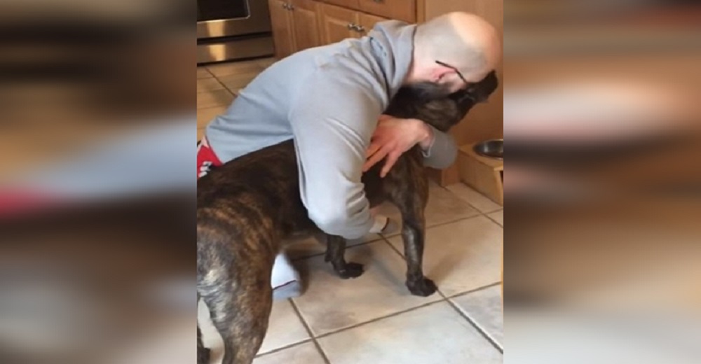 Perrito adoptado con un triste pasado come únicamente después de que su papá lo abraza Perrito adoptado con un triste pasado come únicamente después de que su papá lo abraza