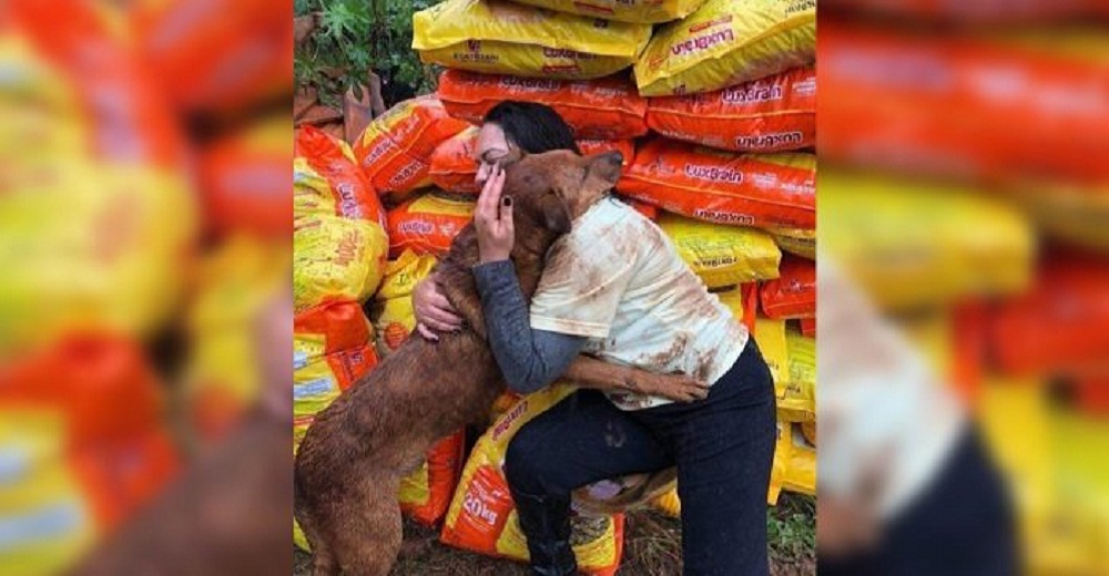 El gesto de un perrito de un refugio en apuros con la mujer que hizo una valiosa donación El gesto de un perrito de un refugio en apuros con la mujer que hizo una valiosa donación