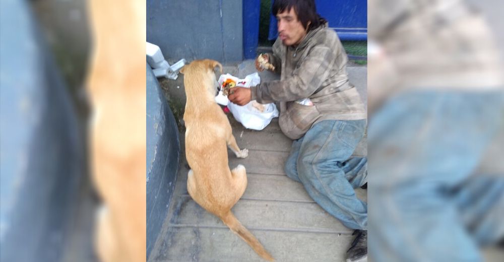 Captan a un hombre sin hogar compartiendo con su perrita la poca comida que logró conseguir