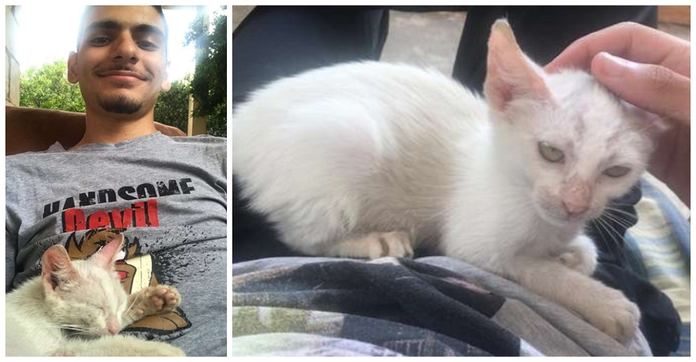 Duerme una siesta en el jardín y se despierta con una gatita callejera dormida sobre su estómago