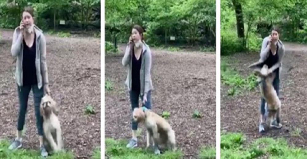 La mujer que reaccionó casi ahogando a su perro, lo recupera de nuevo y las redes enfurecen La mujer que reaccionó casi ahogando a su perro, lo recupera de nuevo y las redes enfurecen