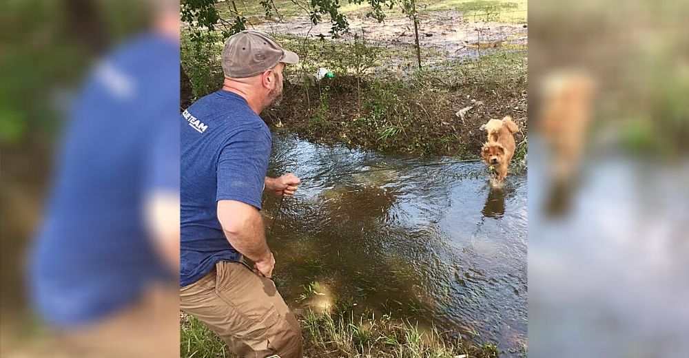 Salva a los animales que son víctimas de desastres naturales – «No soy un héroe» Salva a los animales que son víctimas de desastres naturales – «No soy un héroe»