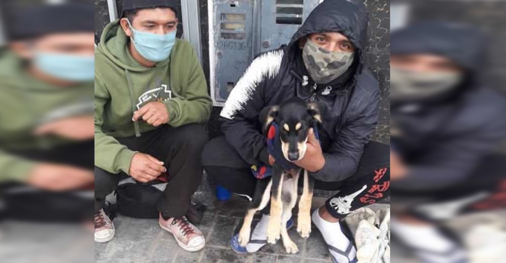 Dos jóvenes que sobreviven en la calle alimentan y curan a un perro abandonado por la pandemia