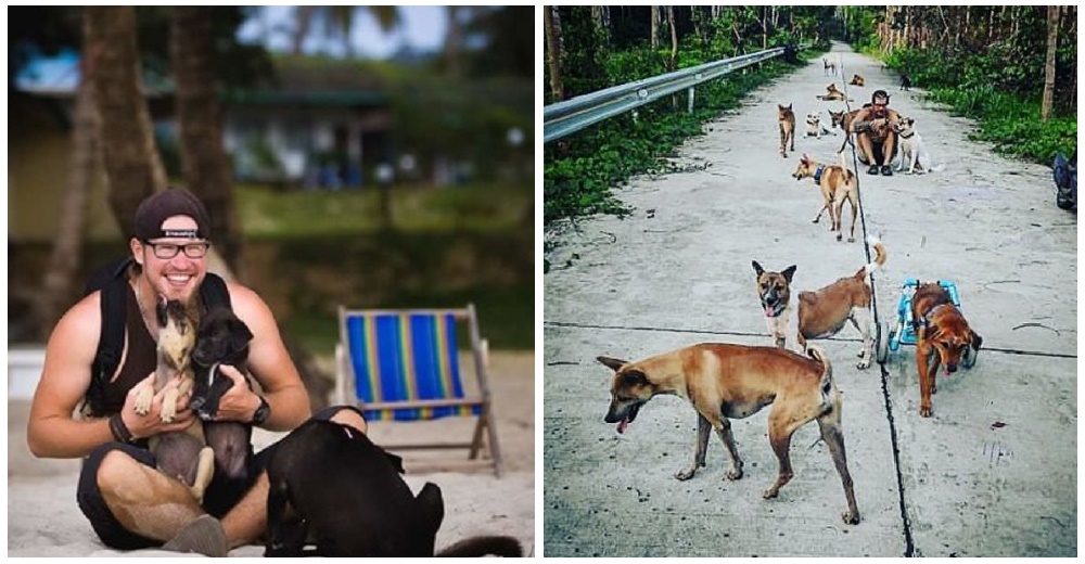 Destrozados por la muerte de su mascota viajan a una isla remota para rescatar perros sin hogar