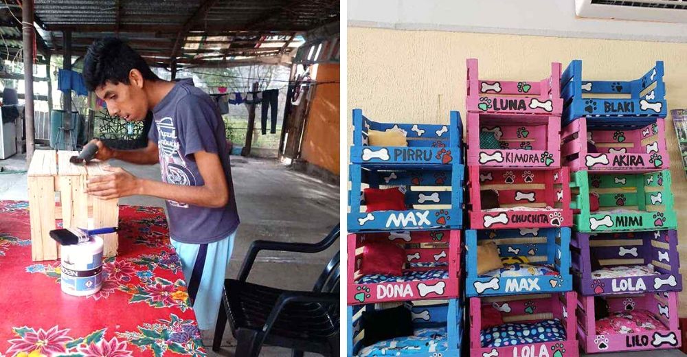Joven con discapacidad fabrica casas para mascotas para tener de qué vivir cuando su mamá muera Joven con discapacidad fabrica casas para mascotas para tener de qué vivir cuando su mamá muera