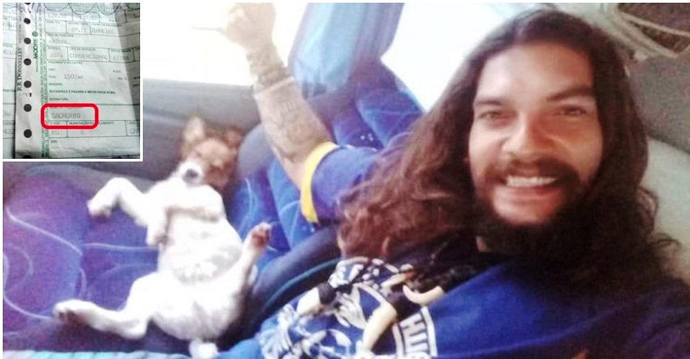 Publica la foto del asiento exclusivo que pagó para que su perro viaje cómodo y se hace viral Publica la foto del asiento exclusivo que pagó para que su perro viaje cómodo y se hace viral