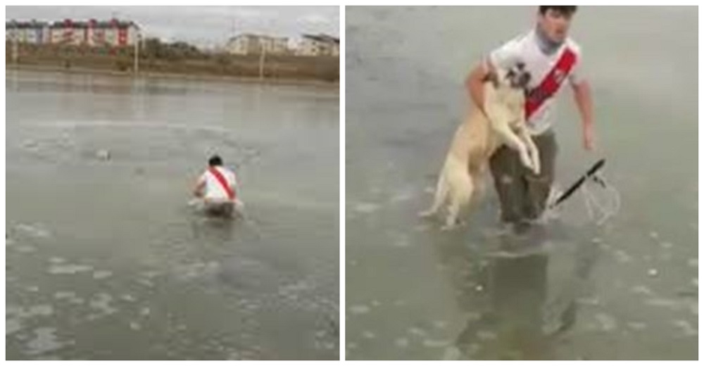Desafió las gélidas temperaturas de una laguna, no pudo con la mirada suplicante de un perro Desafió las gélidas temperaturas de una laguna, no pudo con la mirada suplicante de un perro
