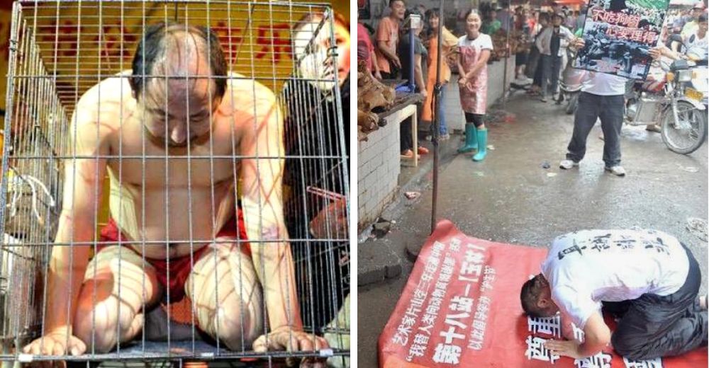 Activista se enjaula frente a mataderos de perros para sentir su mismo dolor y exige su clausura