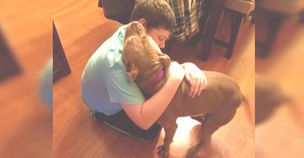 Salvan al perro que su dueño quería que sacrificaran sin darle la oportunidad de ser adoptado Salvan al perro que su dueño quería que sacrificaran sin darle la oportunidad de ser adoptado